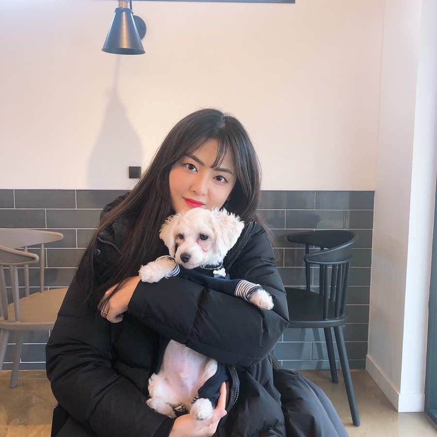 플랫172 이미지