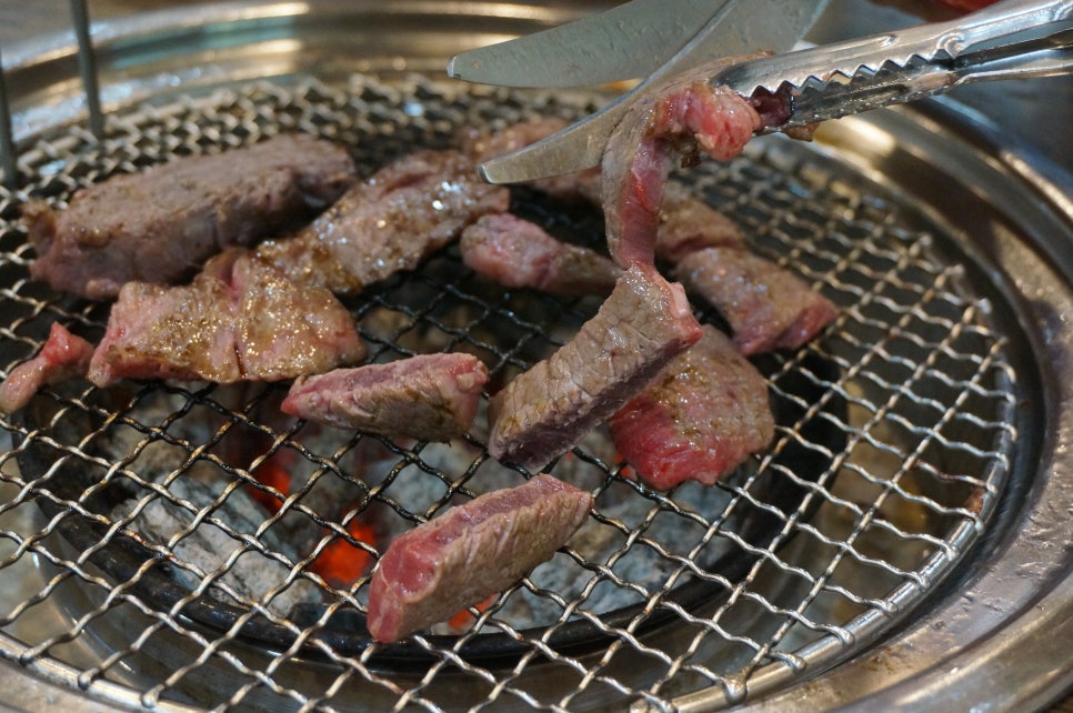 동가래 이미지