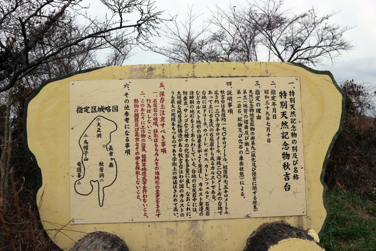원다이버스 이미지