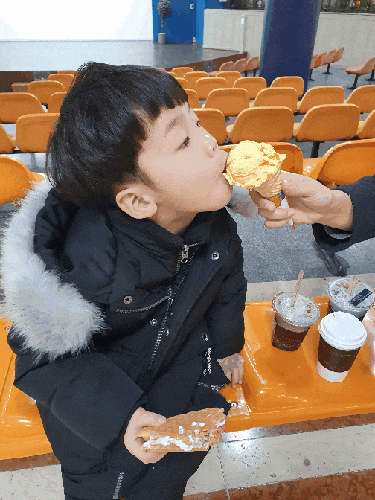 코인하우스 이미지