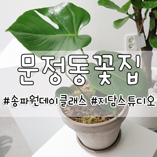 스튜디오지담 이미지