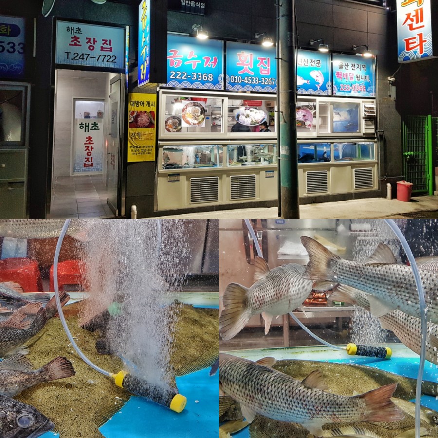 동강분식 이미지