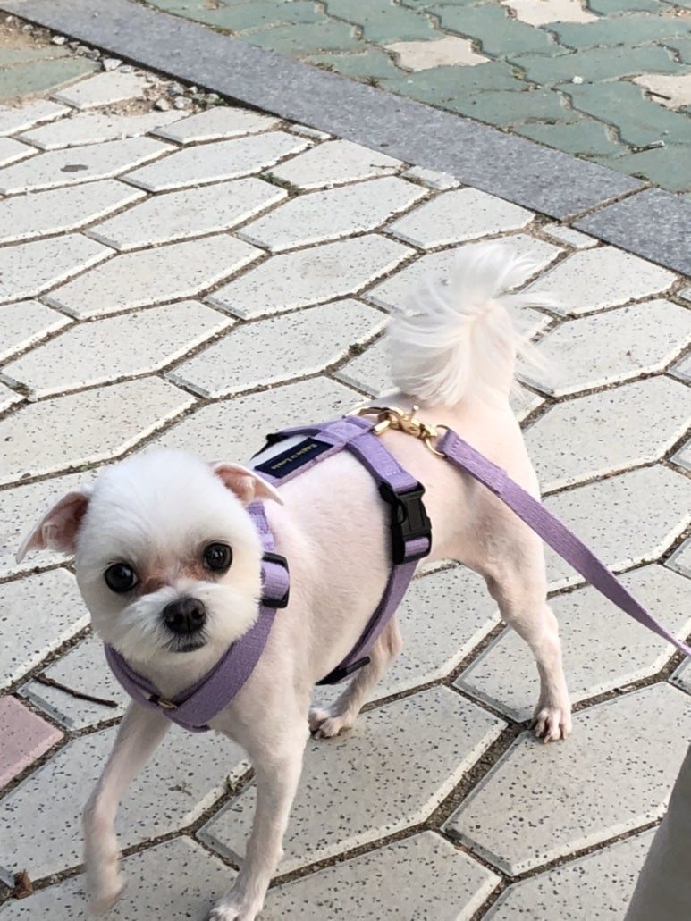 와락 이미지