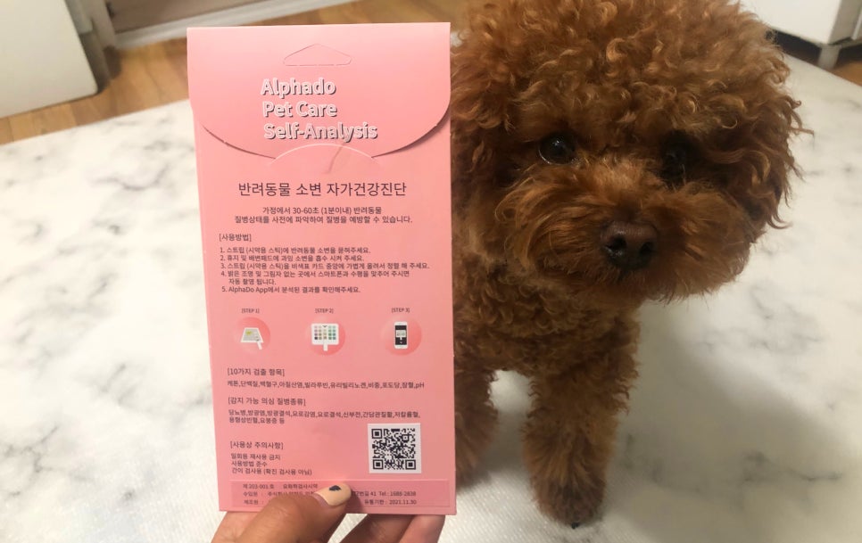 멍뭉까까 이미지