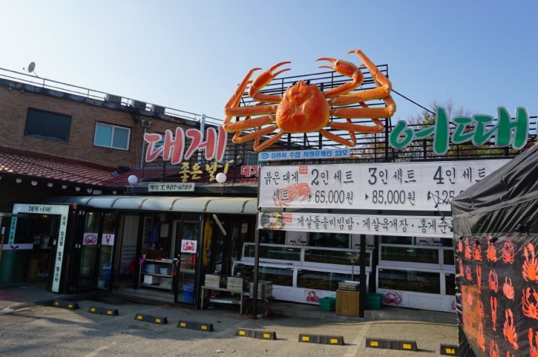 대게어때 이미지