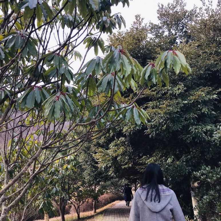 굿모닝 여행사 이미지