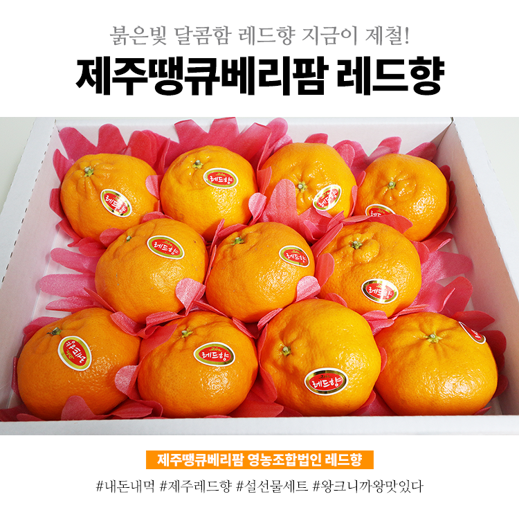 땡큐베리팜 이미지