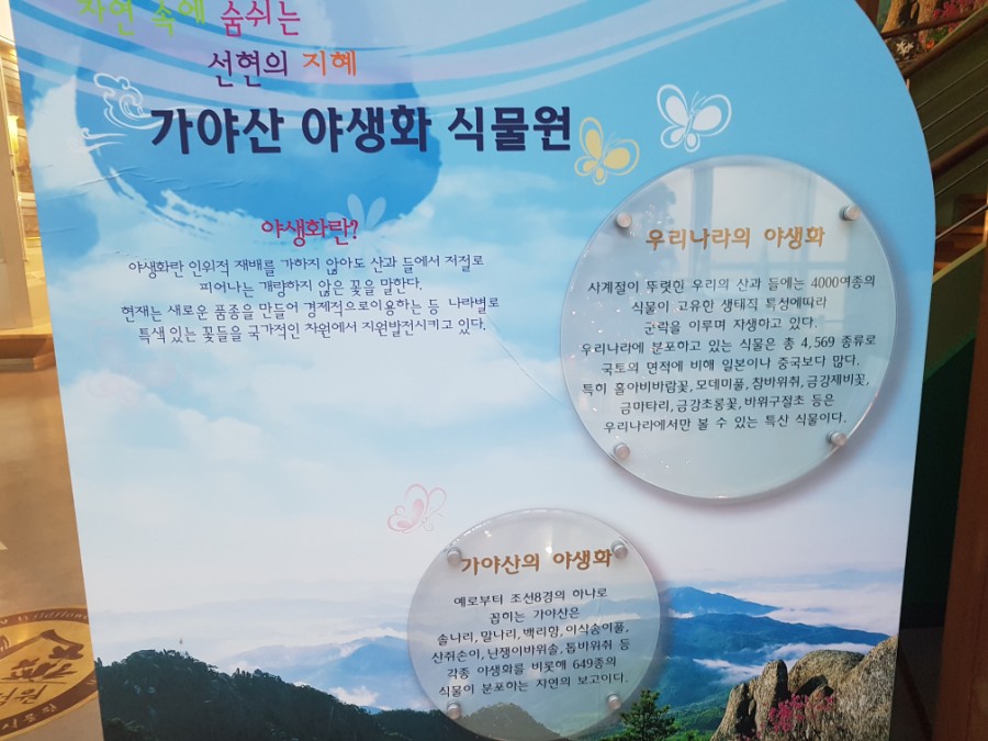 가야산식품 이미지