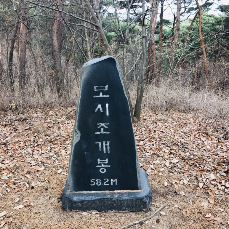 굿모닝 여행사 이미지