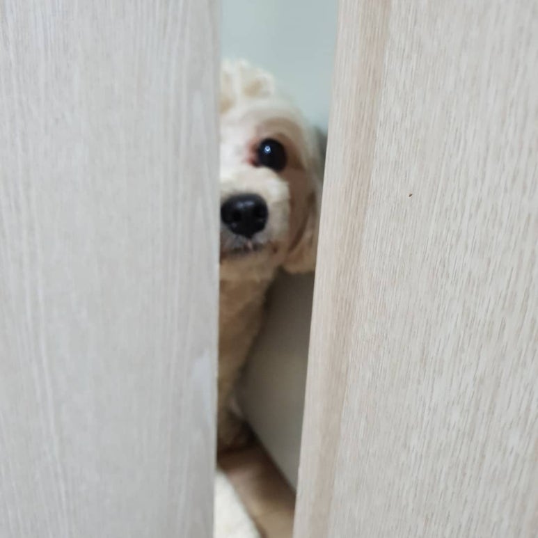 미유컴퍼니 이미지