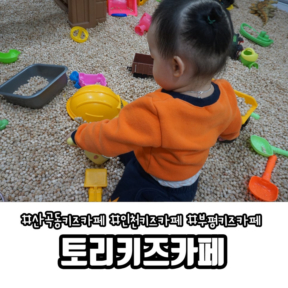 토리키즈카페 이미지