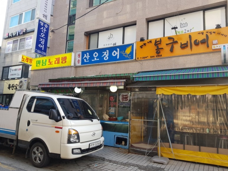 싱싱한산오징어 이미지
