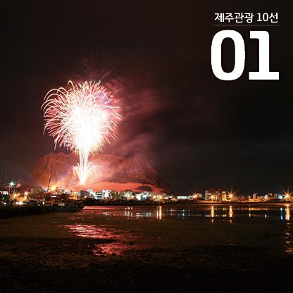 한라봉관광 이미지