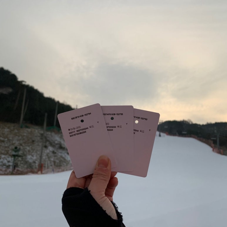 독도스키샵 이미지