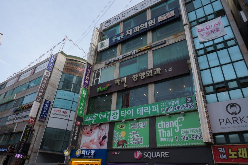 창타이테라피 이미지