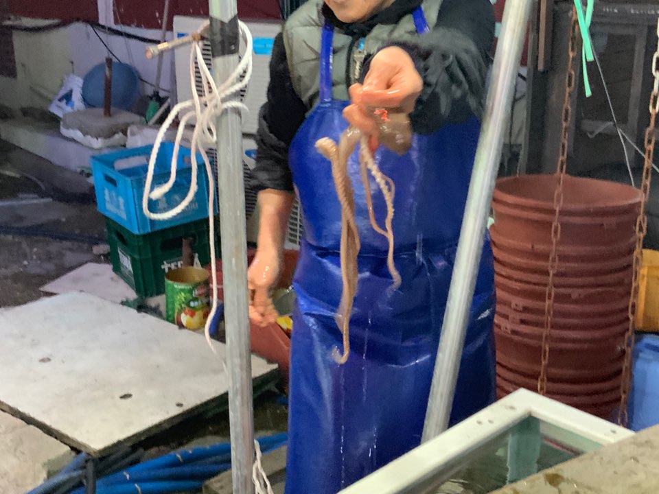 대진맛집 이미지