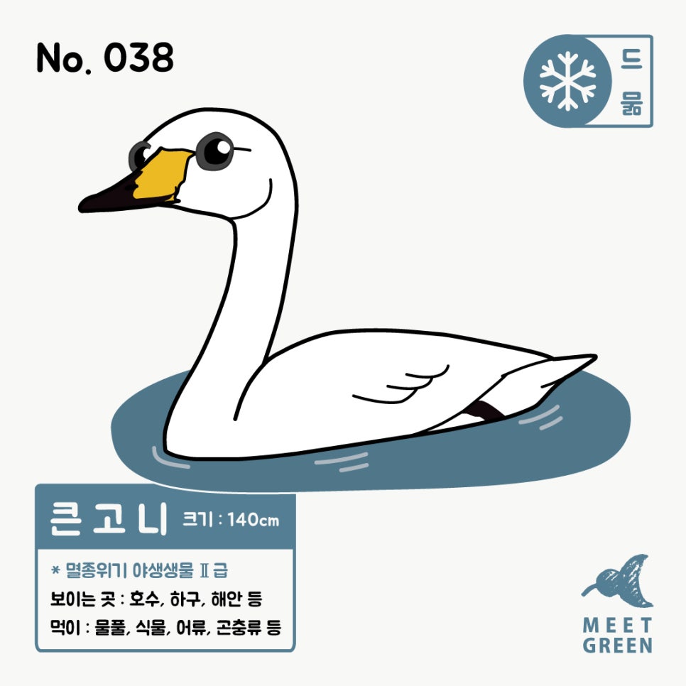 백조미트 이미지