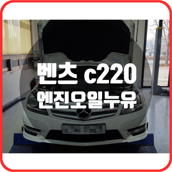 아우토부스 이미지