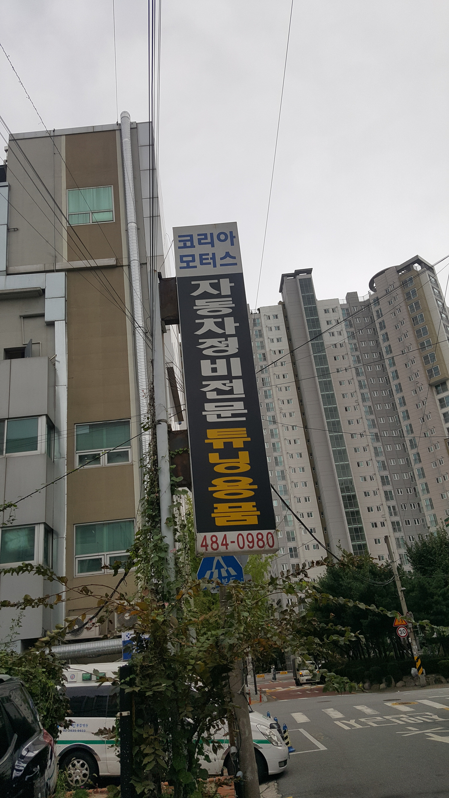 영일사자동차 이미지