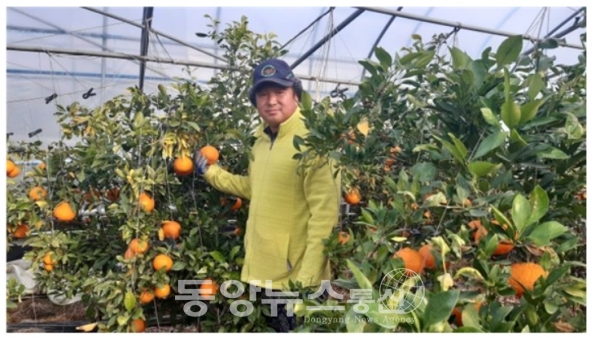진주과일 이미지