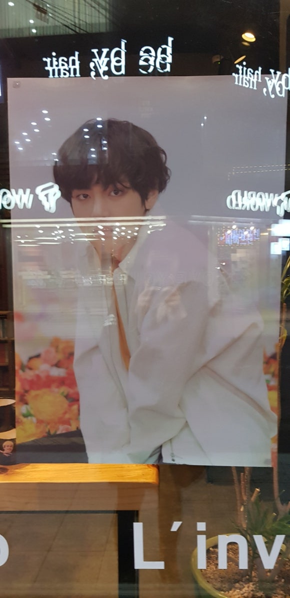 린비또 이미지