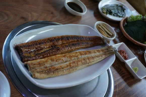 장어독립 이미지