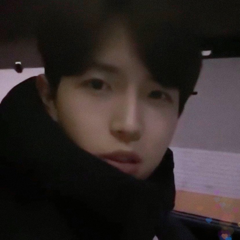 하루라이브 이미지