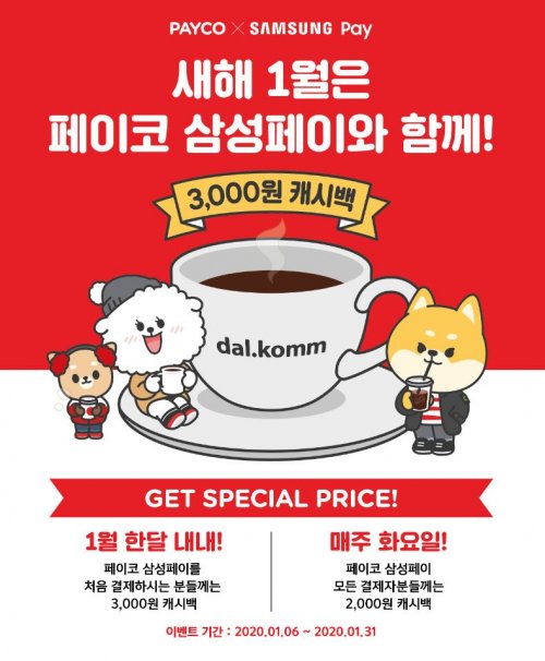콤페이 이미지