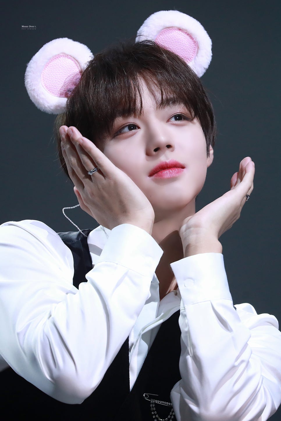 마카오박 이미지