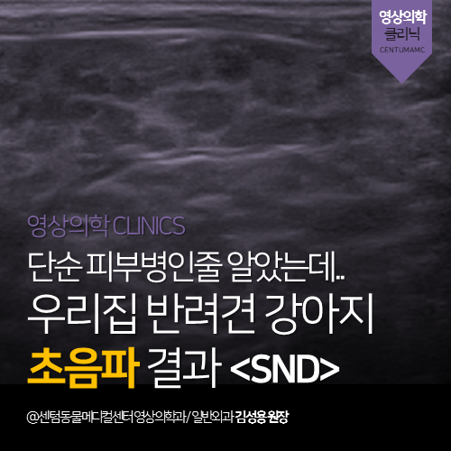 우리SND 이미지