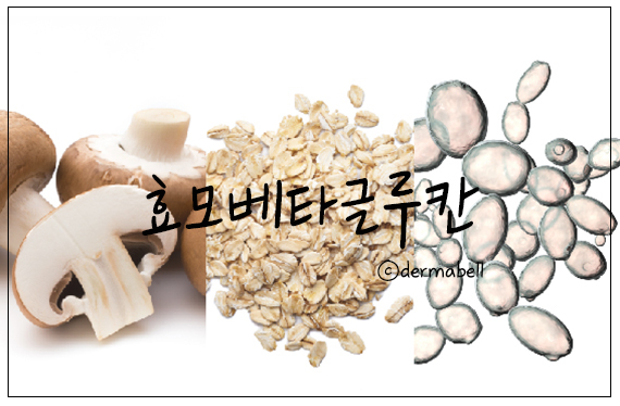 (주)글루칸 이미지
