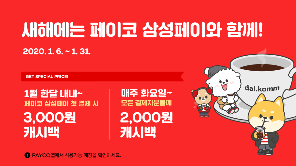 콤페이 이미지