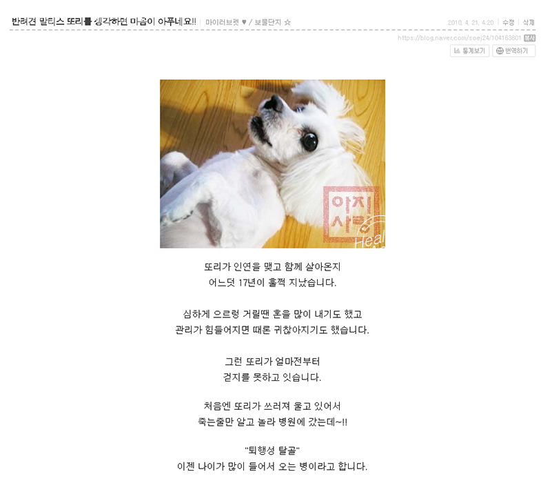 마줌 이미지