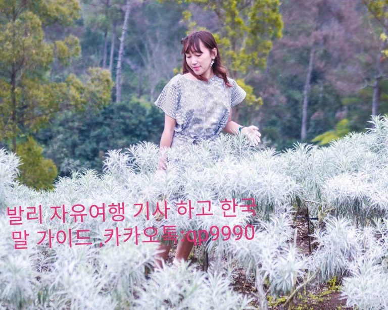 에델바이스화원 이미지