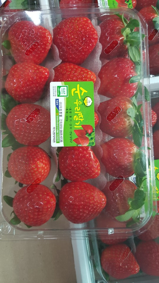 케이플러스 이미지