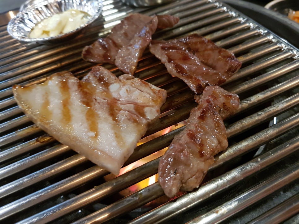 뚱보집 이미지