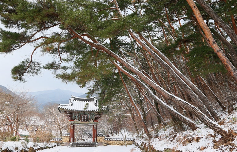 계산불교 이미지
