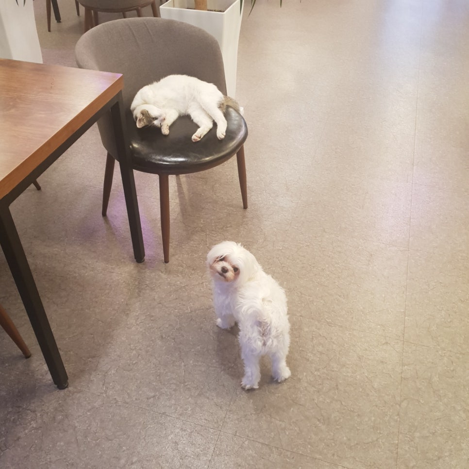 폴라리스펜션 이미지