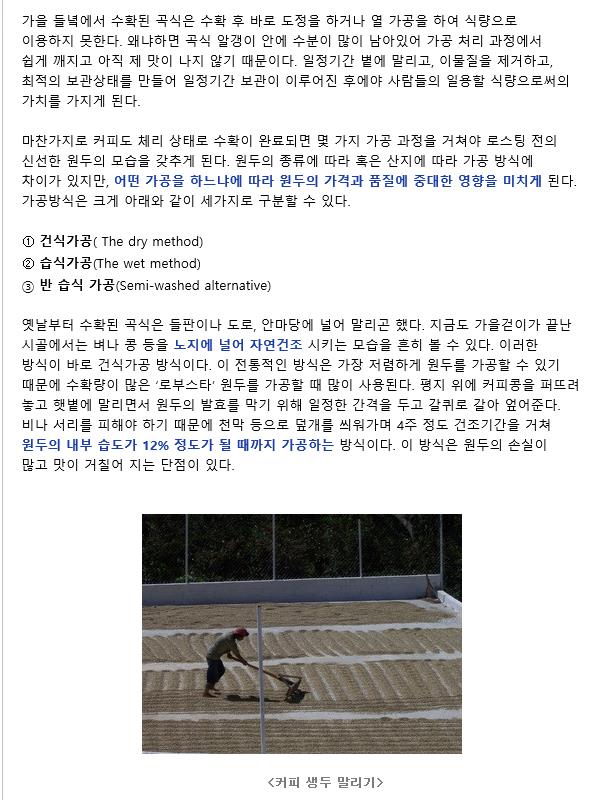오후의산책 이미지