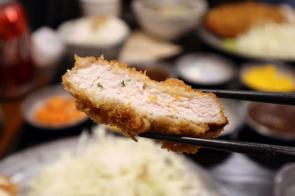 카츠홀릭 이미지
