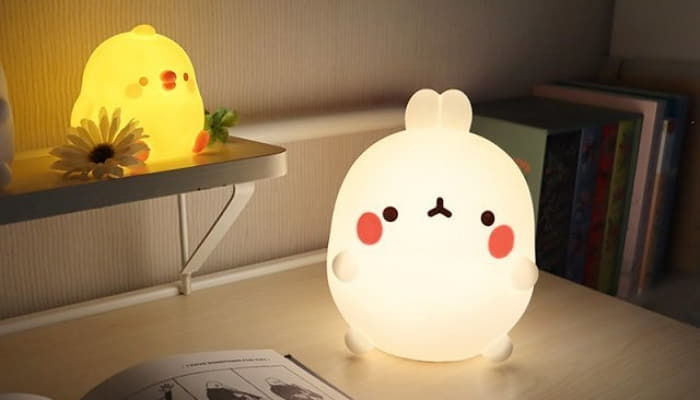 램프랜드주 이미지