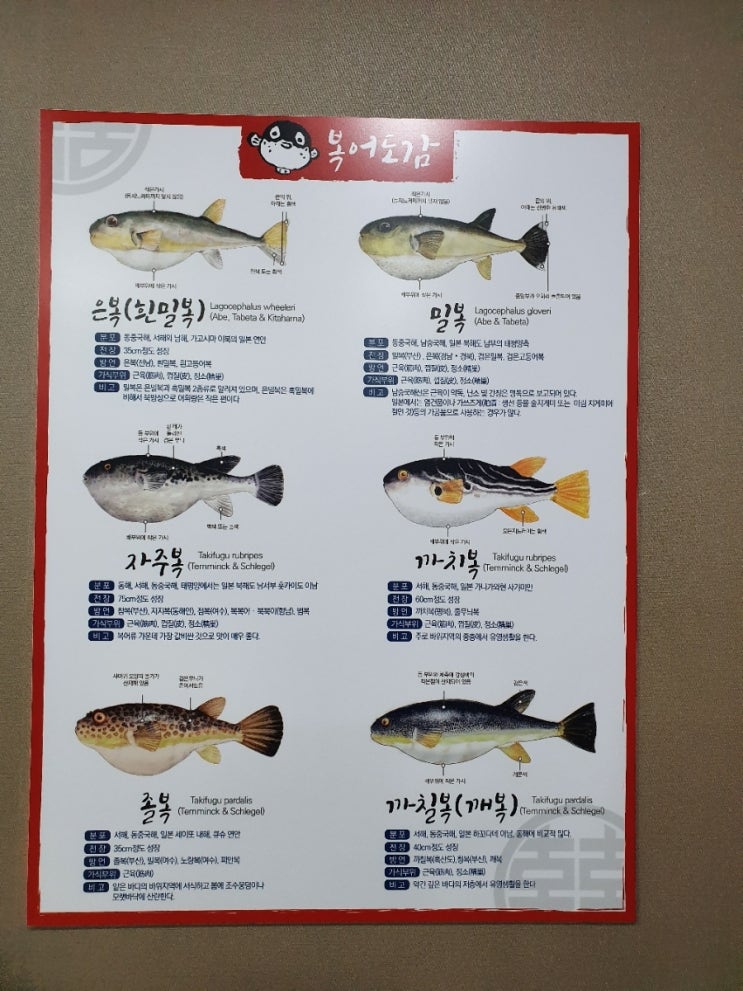 본가벌나무복집 이미지