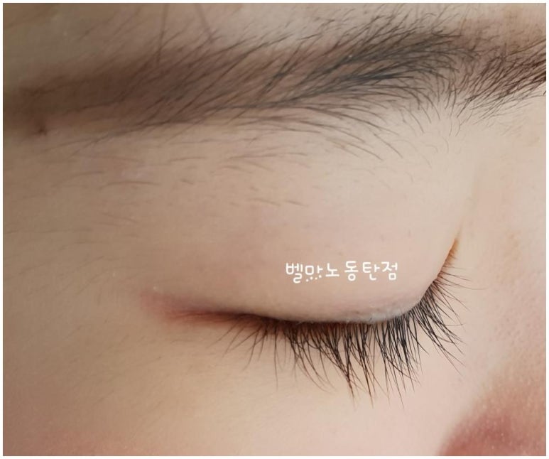 속눈썹달인 이미지