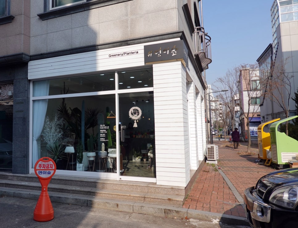 연이숲 이미지