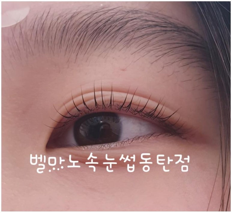 속눈썹달인 이미지