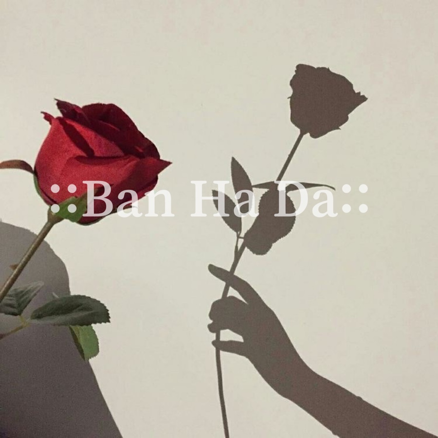 머리에 반하다 이미지