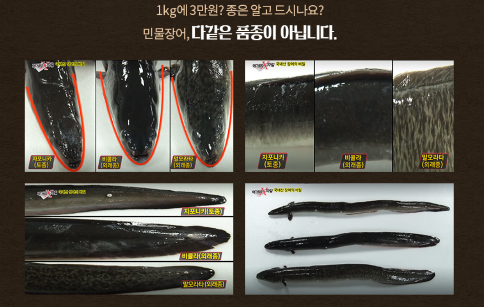 전이수산 이미지