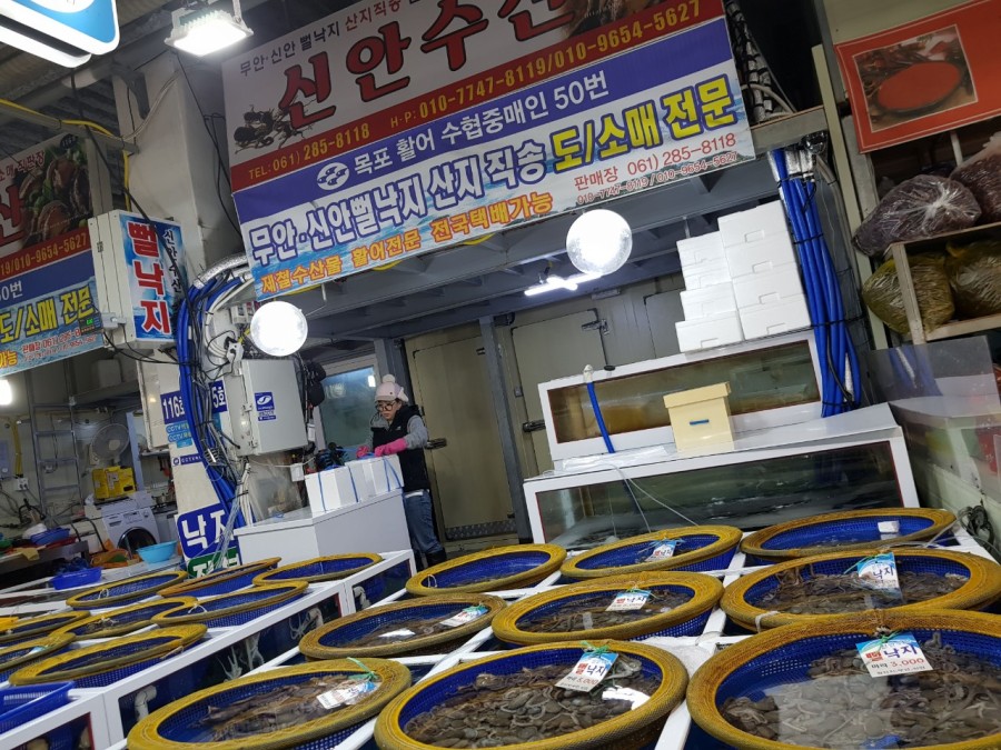 목포신안유통 이미지