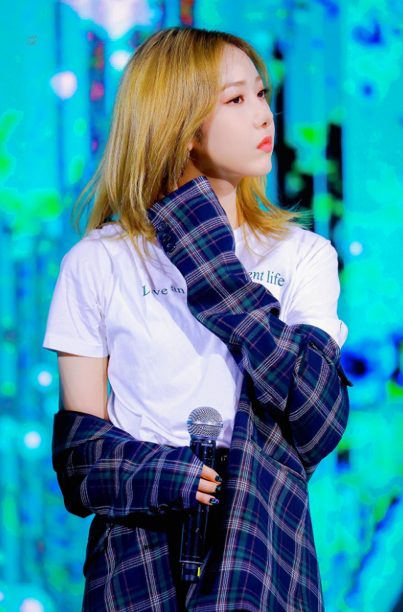 또이 이미지