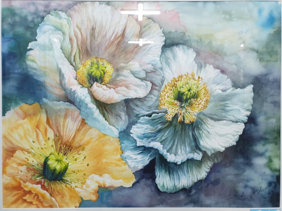 대양유화 이미지